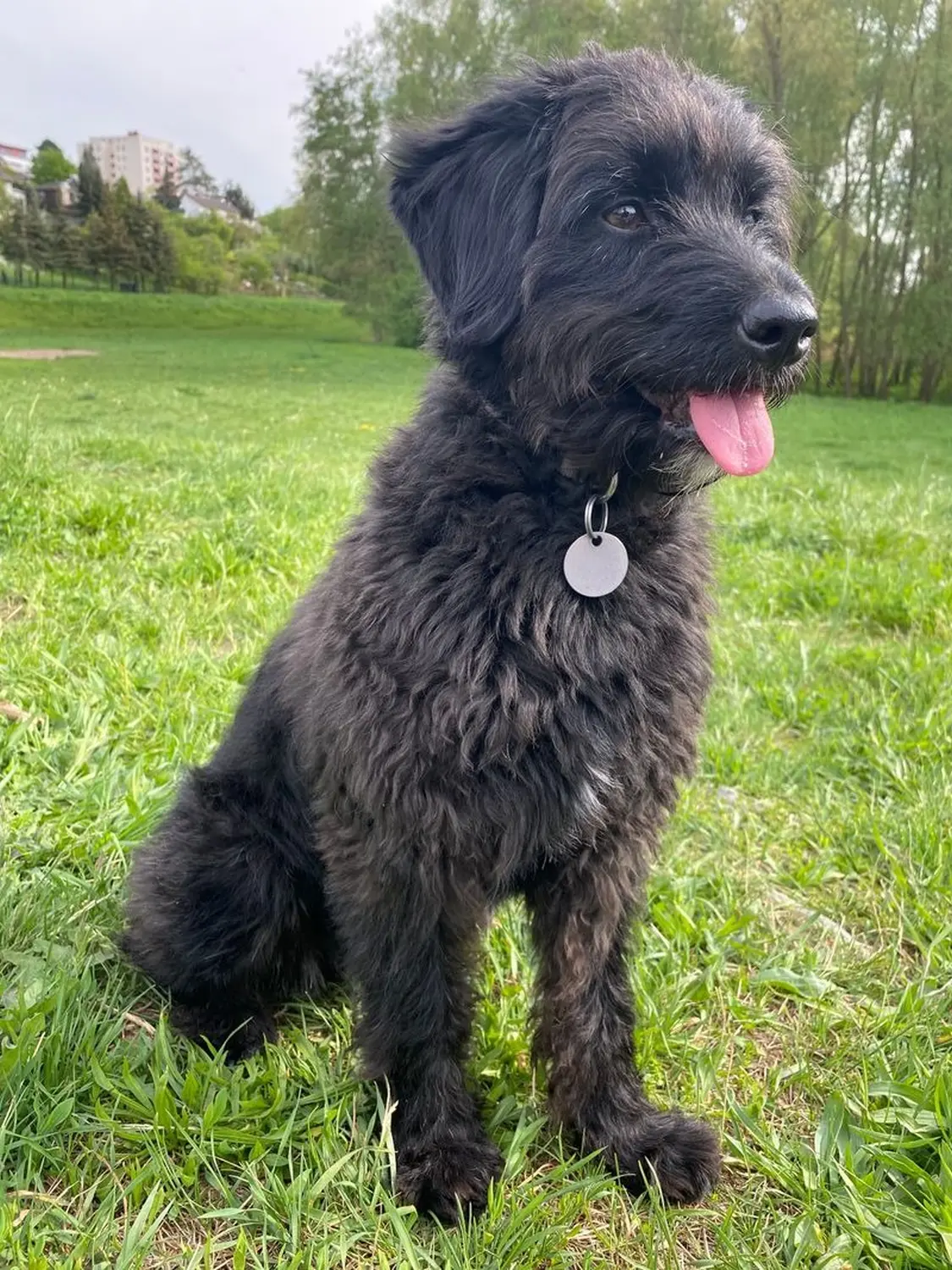 Lucy